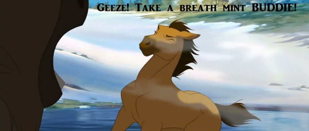 What Spirit Was Really Thinking 3