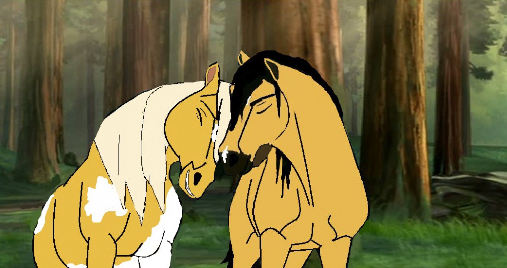 Spiro & Haley