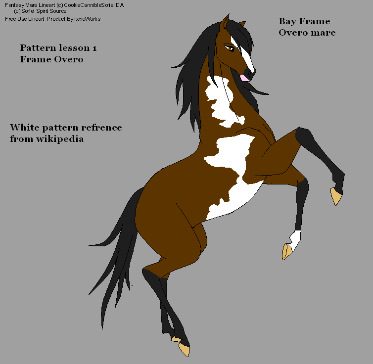 Horse coat pattern lesson#2