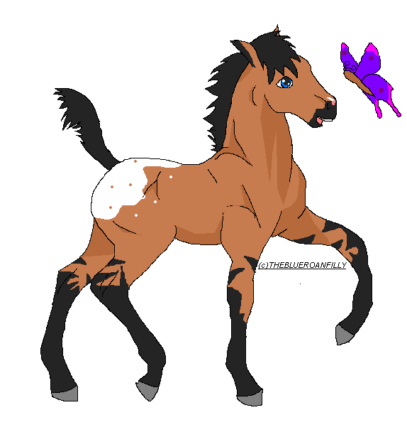 Aww its Calvary