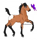 Aww its Calvary