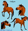 Valkyrie Ref. please read