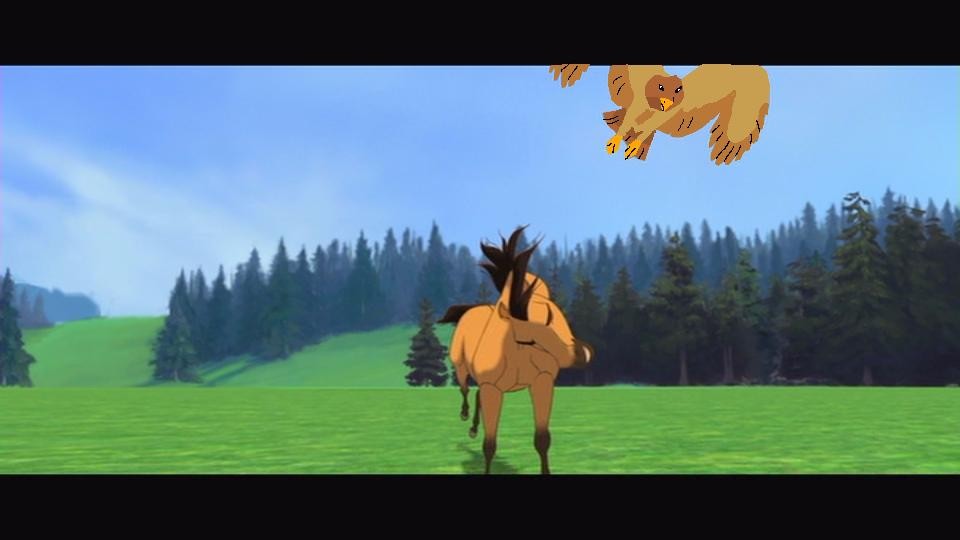 spirit and Shayzou
