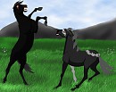 Nightmare and Apollo