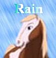 Rain avatar