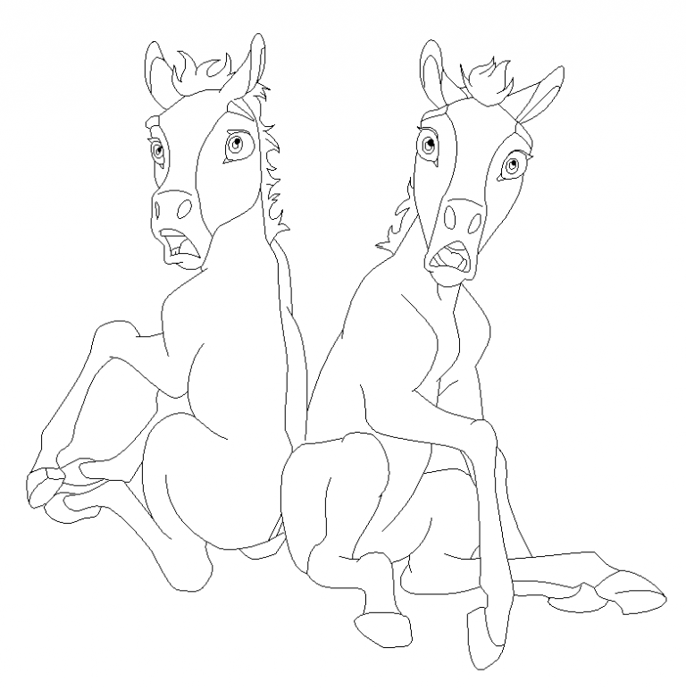 Two foals base