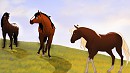 mares brown