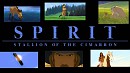 My Spirit Banner