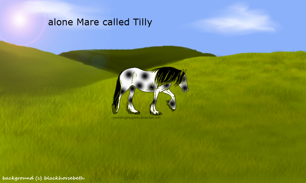 tilly the lone mare