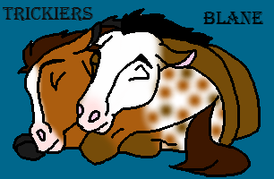 Meet Trickiers and Blane the two brothers