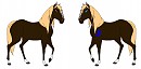 DreamWeaver ref