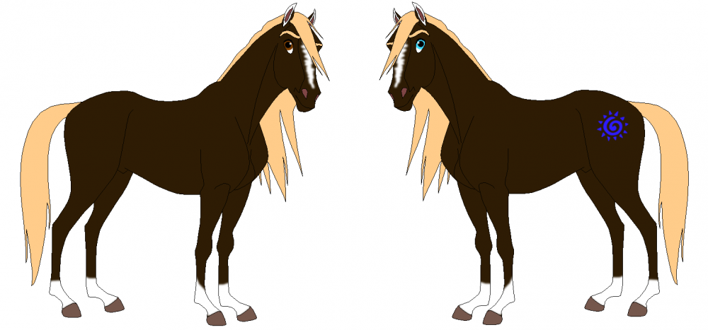 SilentWarrior ref