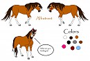Albatrast character ref