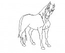Male horse render 1