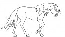 Male horse render 2