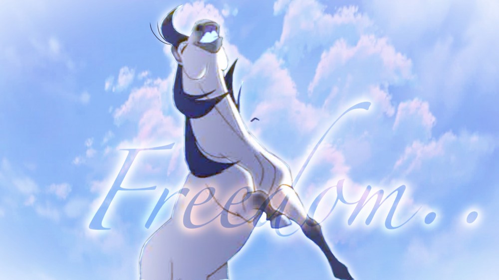 Freedom.. 
