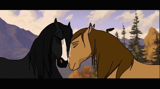 Night and Rose