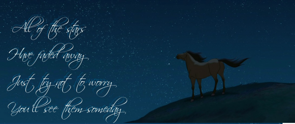 All of the stars~