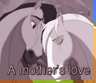 A mothers love....GRAPHIC :D
