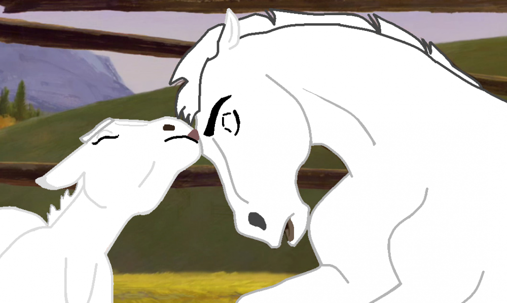 Foal and Stallion base