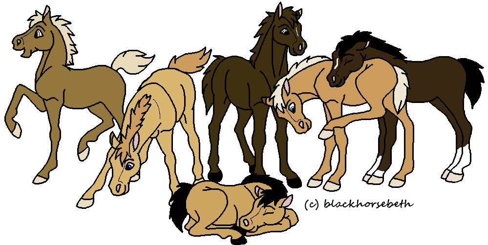 Foal Central!!