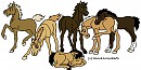 Foal Central!!