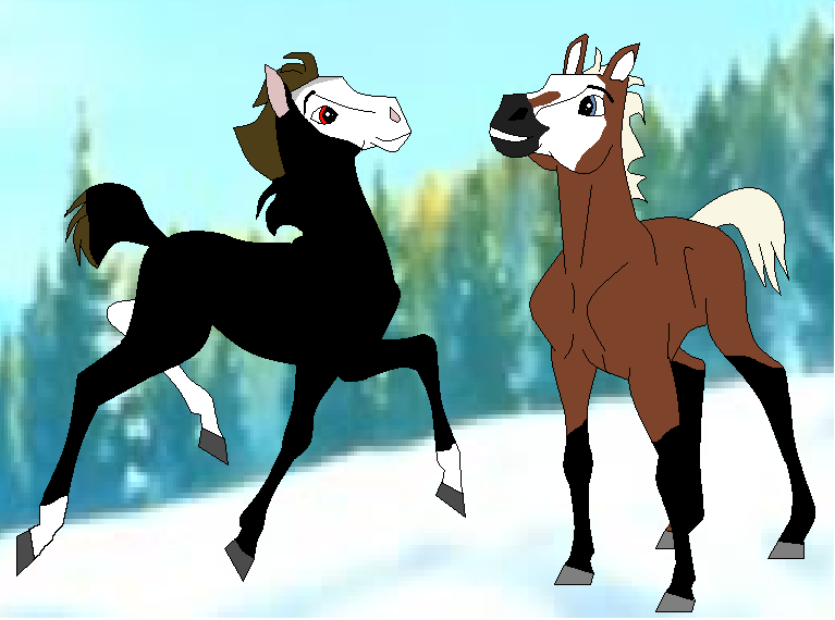 Darter & Warren (BBF'S) *For Buckskin Lover*