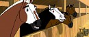 Best Friend Calvary *Buckskin Lover*