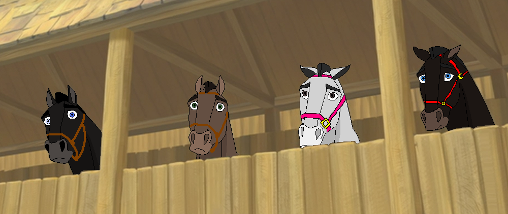 Calvary horses
