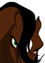 broken's face