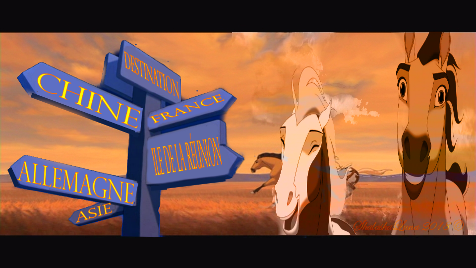 Animation
