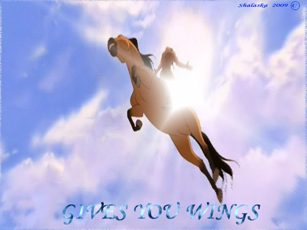 Gives you wings