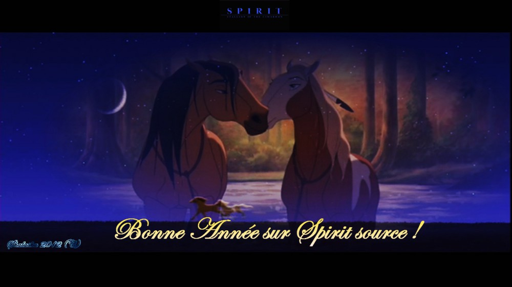 Bonne année 2013 Spirit source !