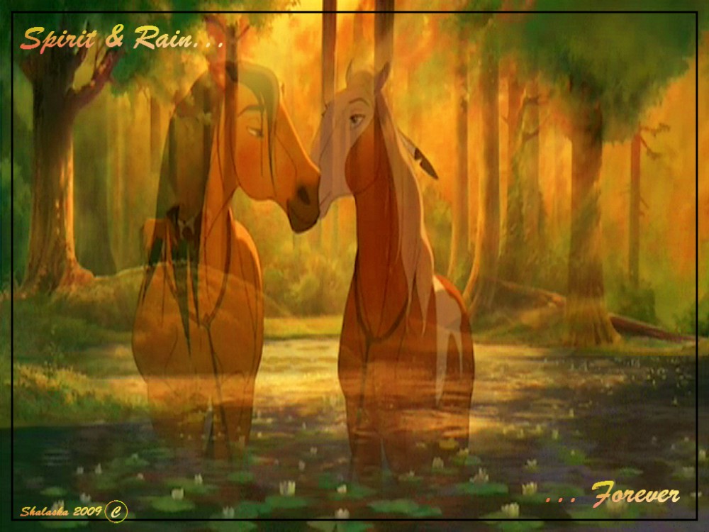 Spirit & Rain... Forever