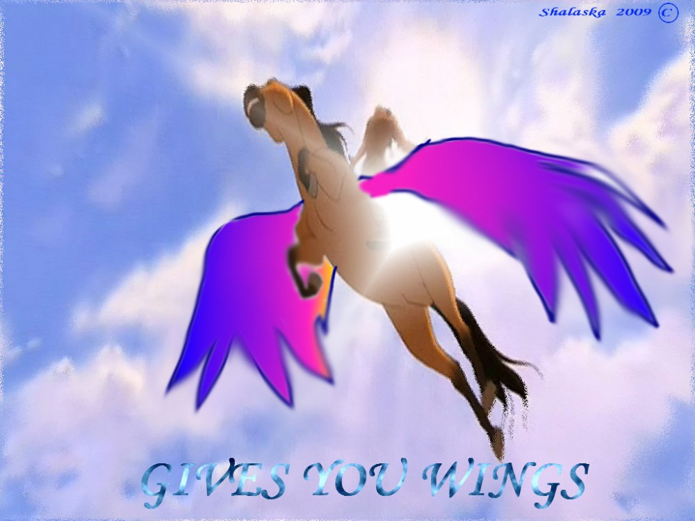 Gives you wings v2