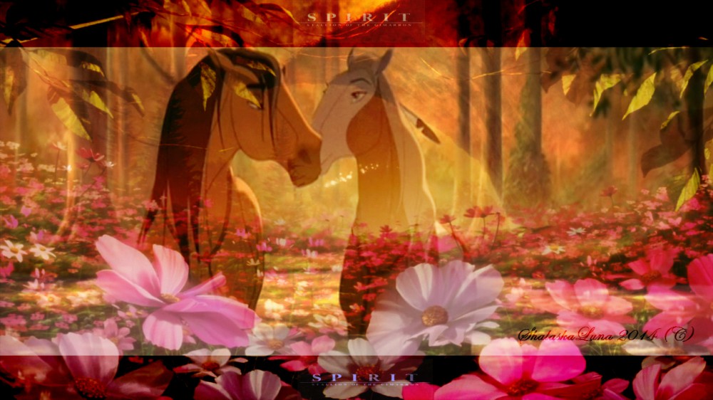 Spirit & Rain theme 1