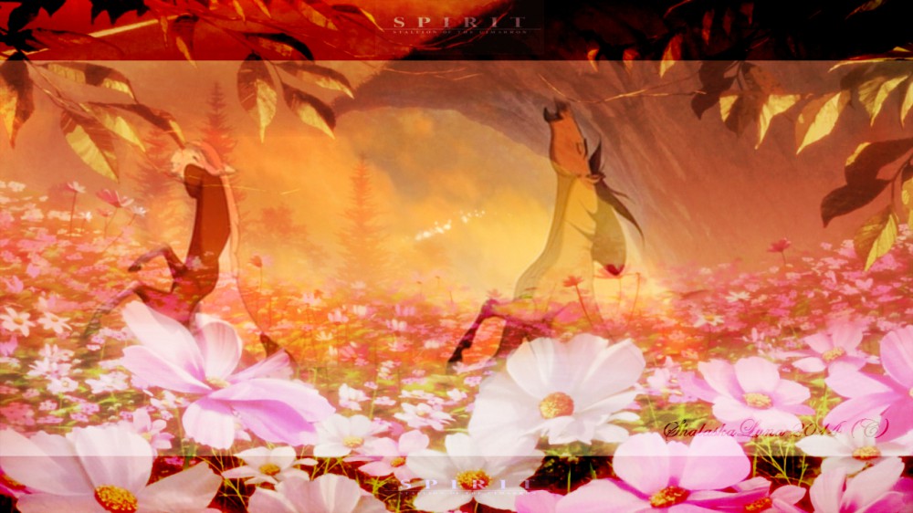 Spirit & Rain theme 2