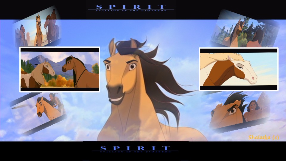 Spirit , Stallion of the cimarron