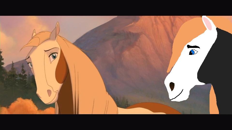 Why are you sad?