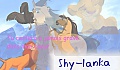 Shy lanka