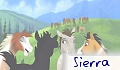 Sierra