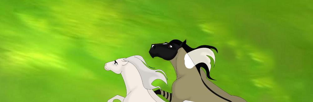 Friendly Race