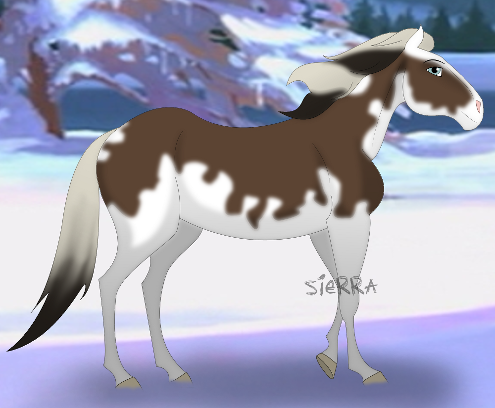 NBH Contest Prize for Wild Dreamer: Socorow