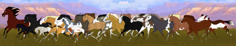 NBH Herd 