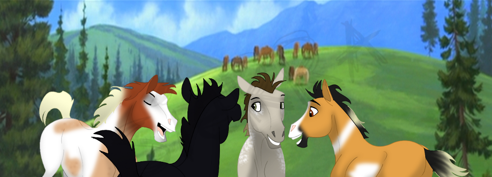NBH Foals: Third Year