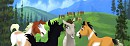 NBH Foals: Third Year