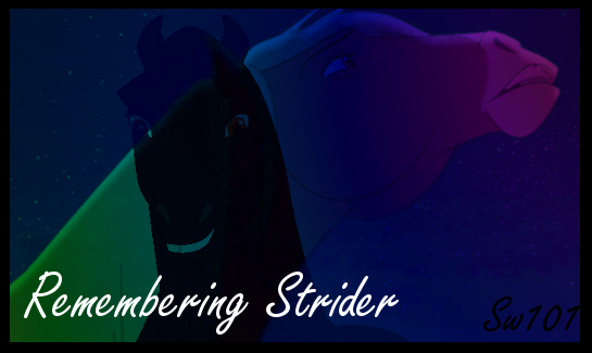 Remembering Strider