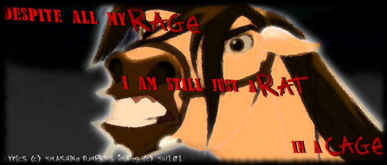 Despite all my rage...
