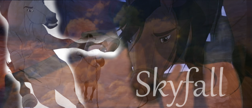 S K Y F A L L 
