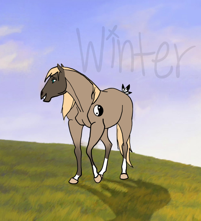 Contest Entry
